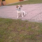 Medoacvs Stra