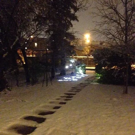 B&B Medoacvs 스트라