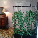 Medoacvs Bed & Breakfast