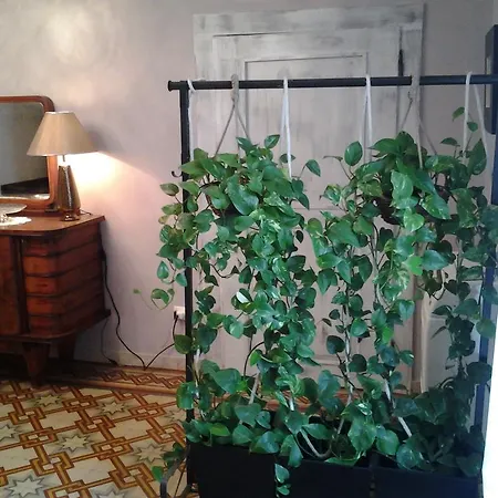 Medoacvs Bed and breakfast