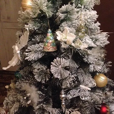 Bed & Breakfast Medoacvs *