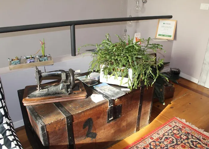 Medoacvs * 斯特拉