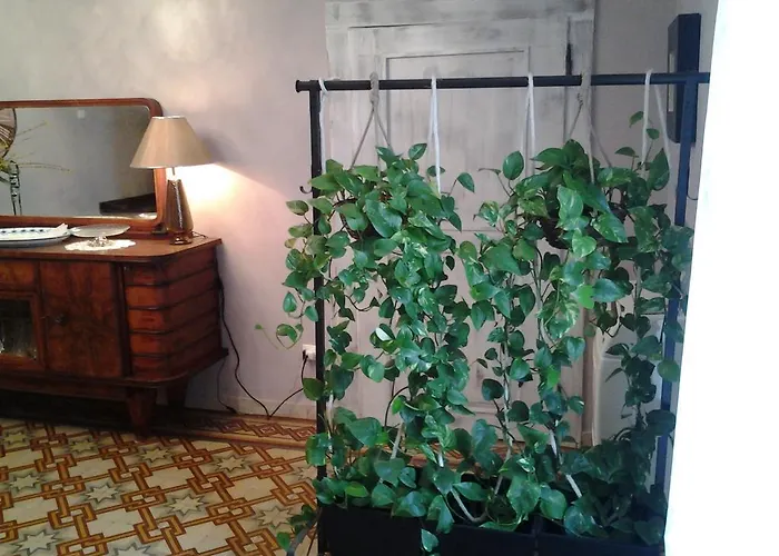 Medoacvs Nocleg ze śniadaniem