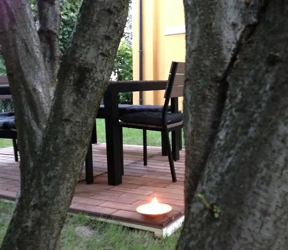 住宿加早餐酒店 Medoacvs