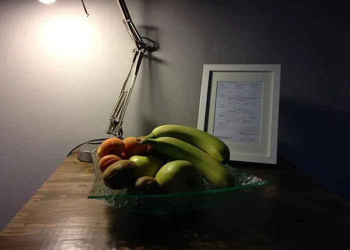 Nocleg ze śniadaniem Medoacvs Stra