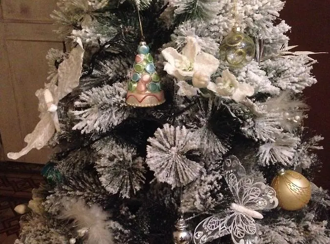 Nocleg ze śniadaniem Medoacvs *