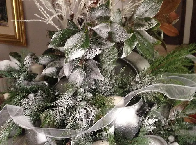 Medoacvs * 斯特拉