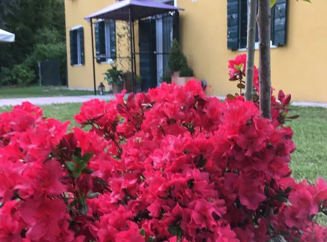 Medoacvs Nocleg ze śniadaniem Stra