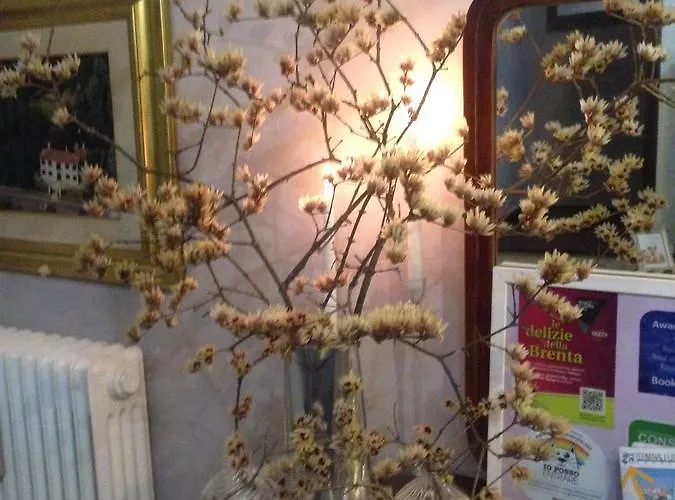 Medoacvs Nocleg ze śniadaniem Stra