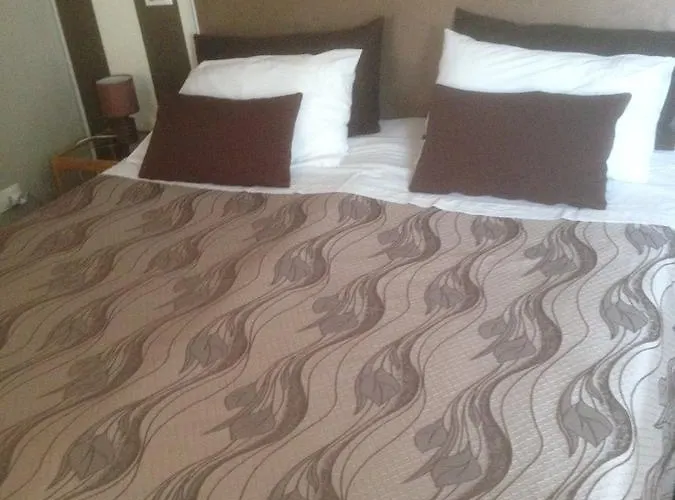 住宿加早餐酒店 Medoacvs