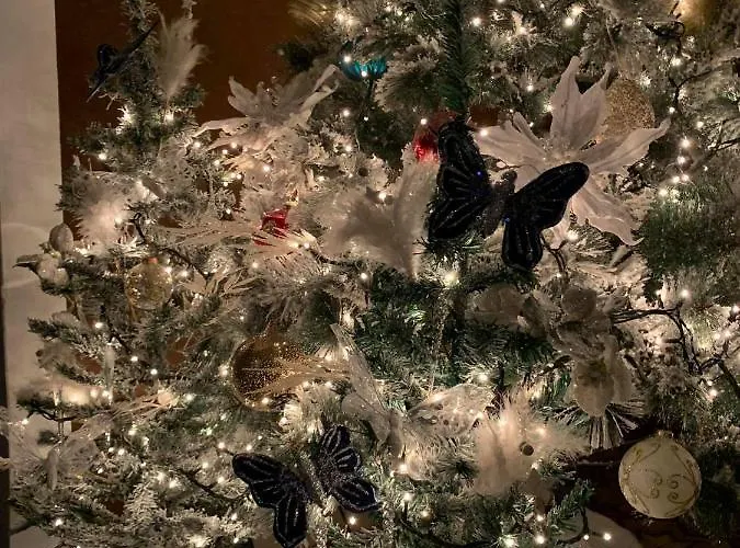 Nocleg ze śniadaniem Medoacvs